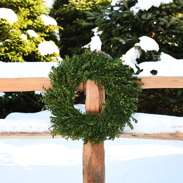 Fresh boxwood christmas wreaths