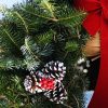 Christmas Farms Wreath