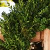 Christmas Farms Wreath