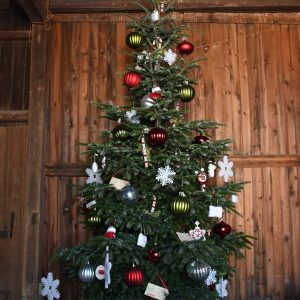 Christmas Farms Trees, Wreaths, Garland