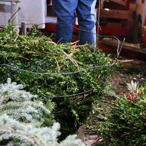 Christmas-Farms-Trees-Wreaths-Garland