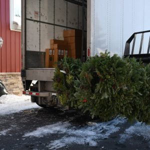 Christmas Farms Trees, Wreaths, Garland