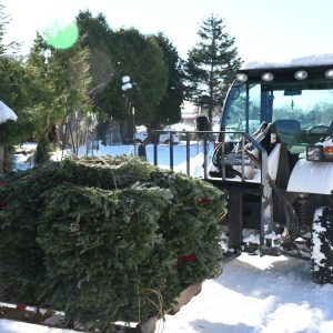 Christmas Farms Trees, Wreaths, Garland