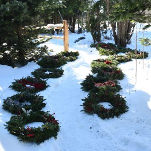 Christmas Farms Trees, Wreaths, Garland