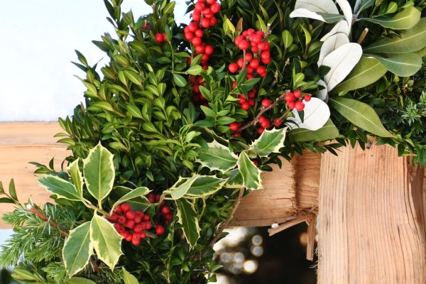 Christmas Farms Wreath