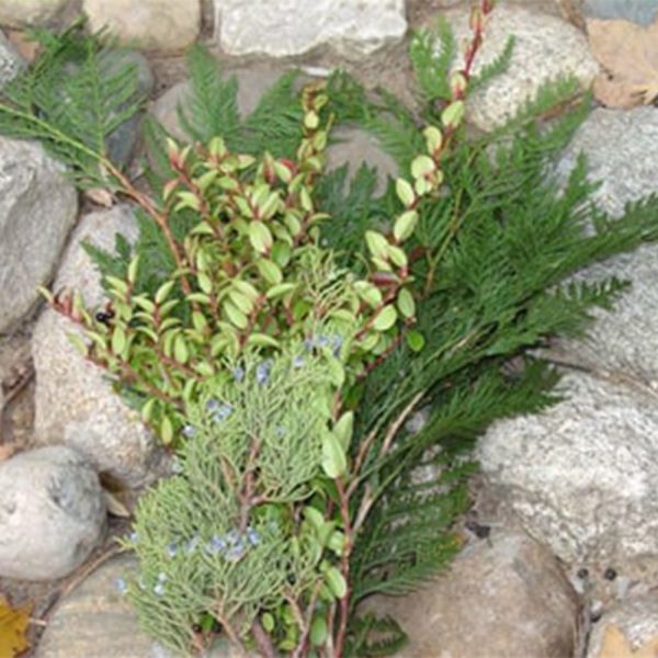 Red Huck, Cedar, Blue Berried Juniper Sleeved Bouquet