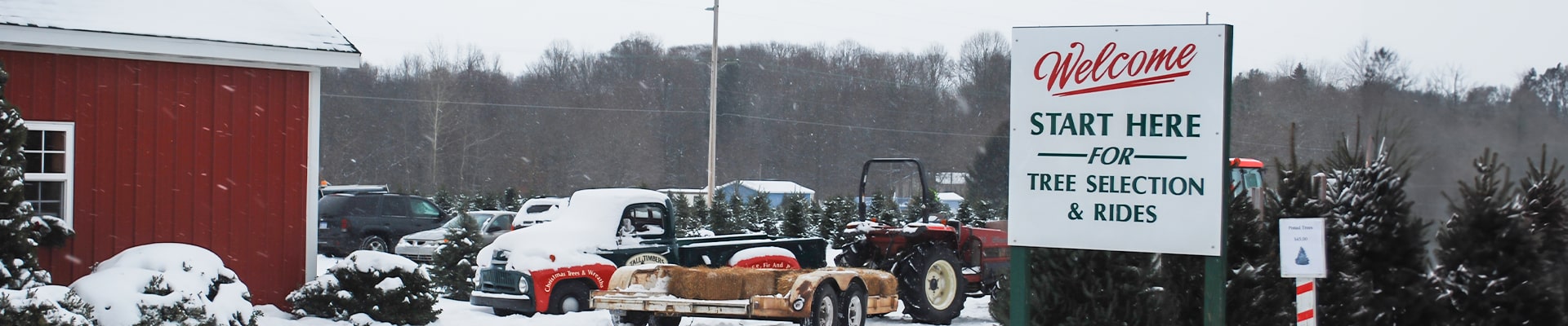 Christmas Farms