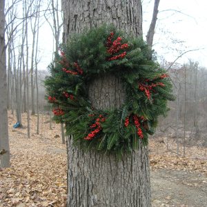 Christmas Farms Fraser Winterberry Wreaths