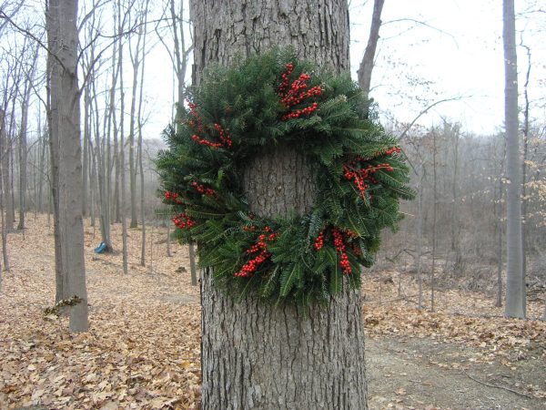 Christmas Farms Fraser Winterberry Wreaths