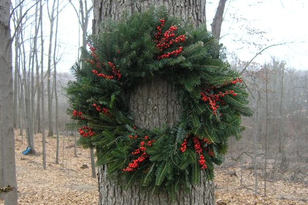 Christmas Farms Fraser Winterberry Wreaths